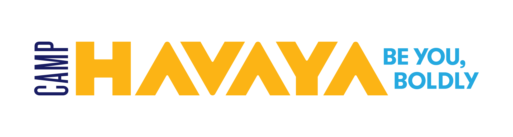 Havaya Summer Programs Forms