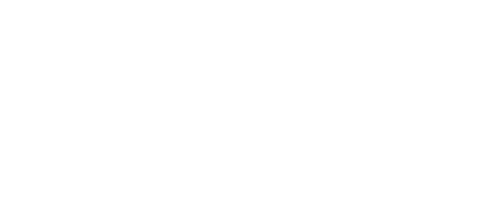 Havaya Summer Programs